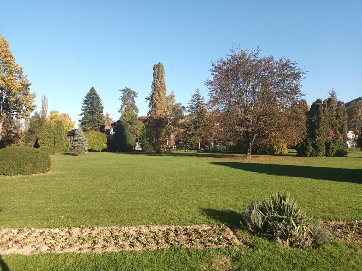 Apartman Lavanda Banja Koviljača Dış mekan fotoğraf