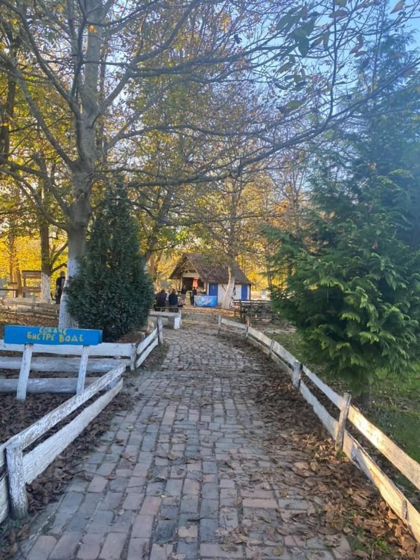 Apartman Lavanda Banja Koviljača Dış mekan fotoğraf