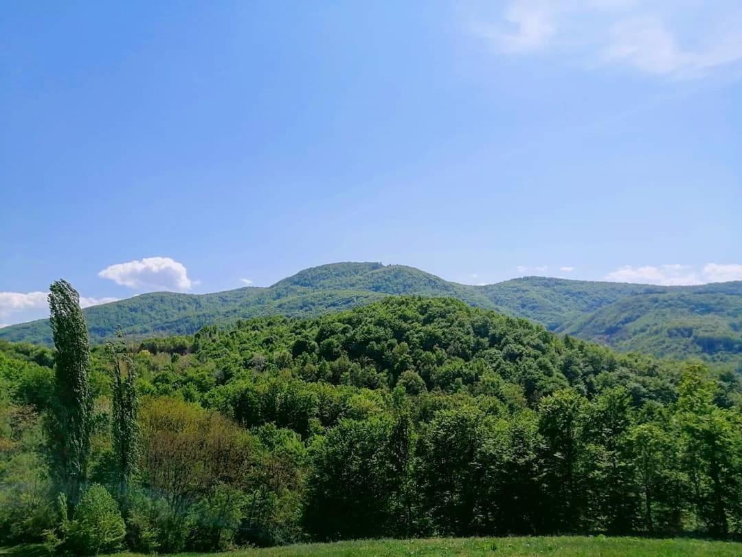 Apartman Lavanda Banja Koviljača Dış mekan fotoğraf